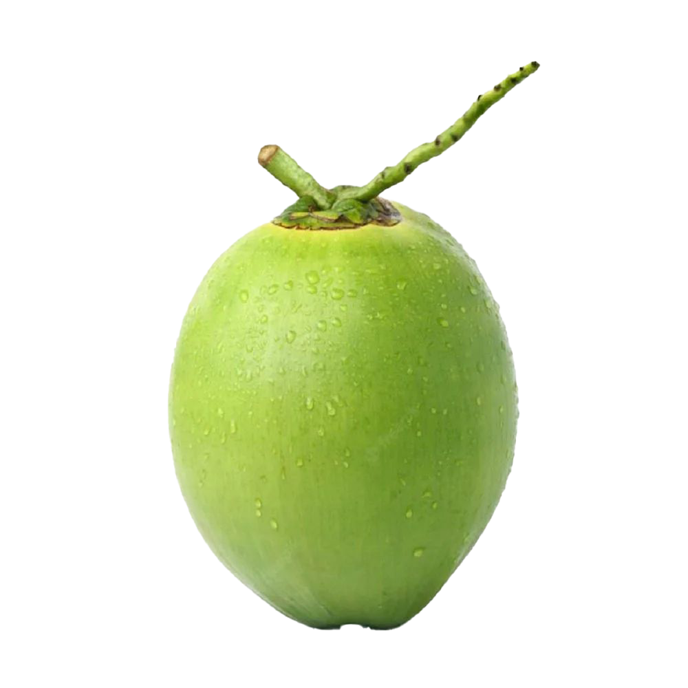 Single coconut
